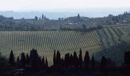 Tuscan countryside