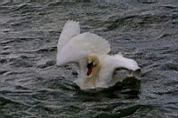 IMG_7998.jpg