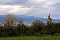 IMG_8064.jpg
