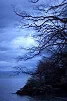 IMG_8295.jpg