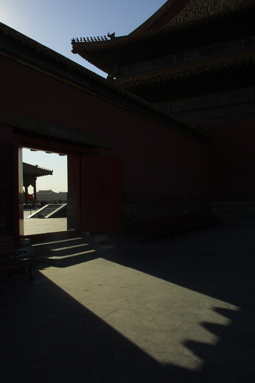 dCRW_8448