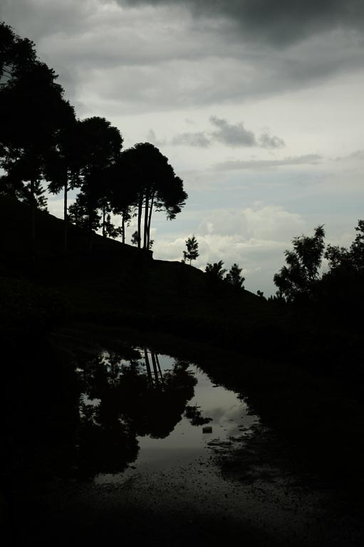 12A7CS3654